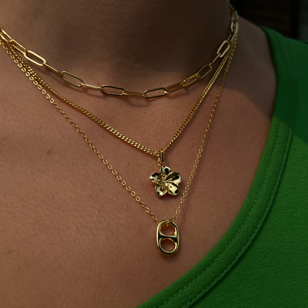 Κολιέ Ιβίσκος 