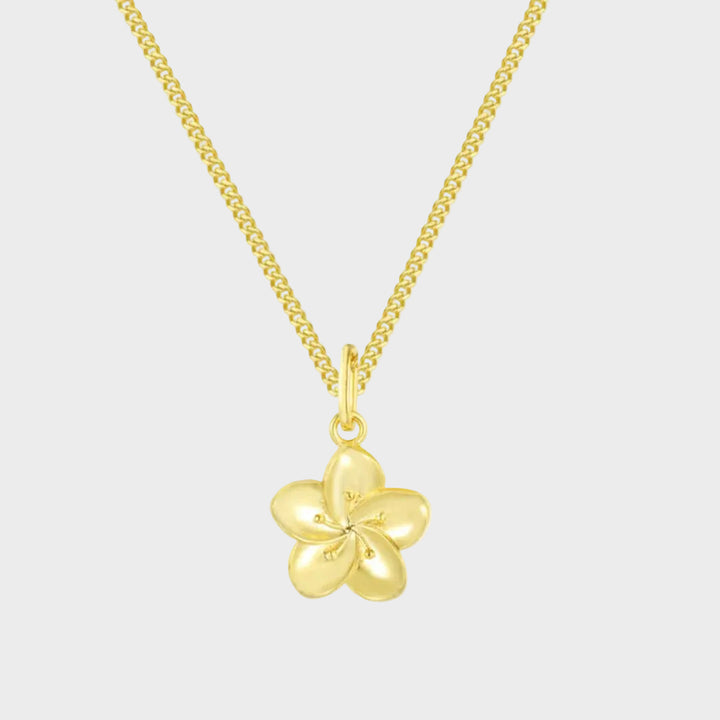 Κολιέ Ιβίσκος 