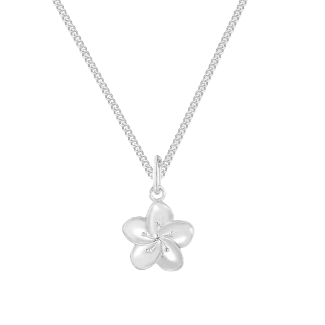 Κολιέ Ιβίσκος 