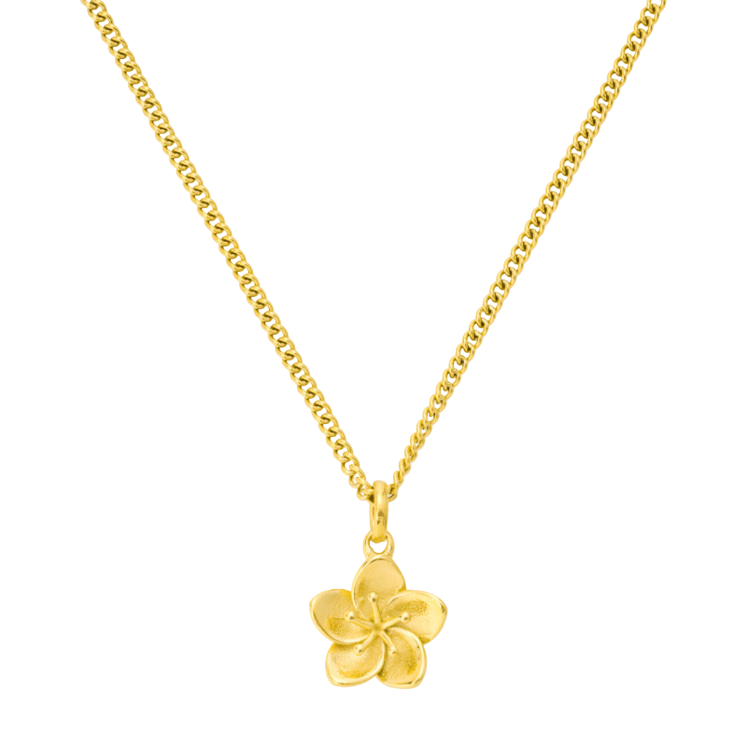 Κολιέ Ιβίσκος 