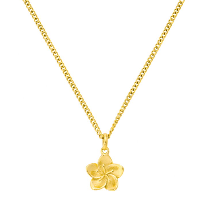 Κολιέ Ιβίσκος 